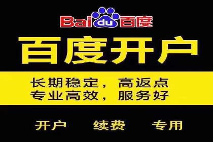 百度竞价推广费用大揭秘：成功案例分享